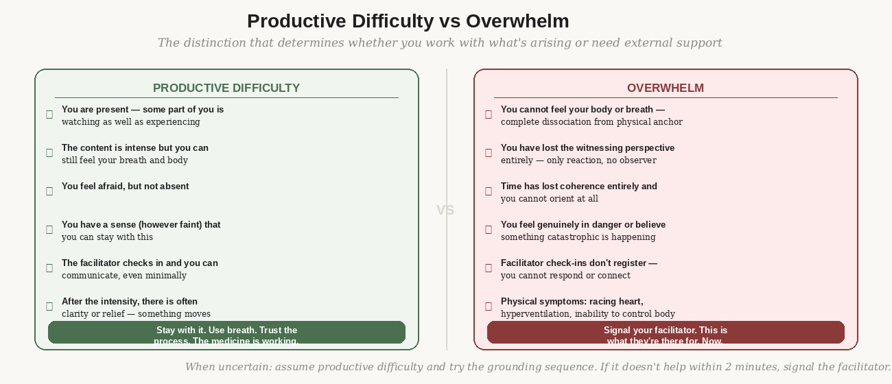 Productive difficulty vs overwhelm