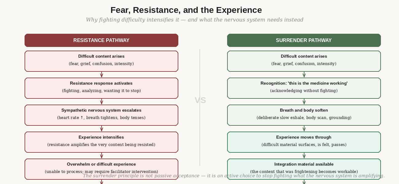 The two paths fear takes before a session