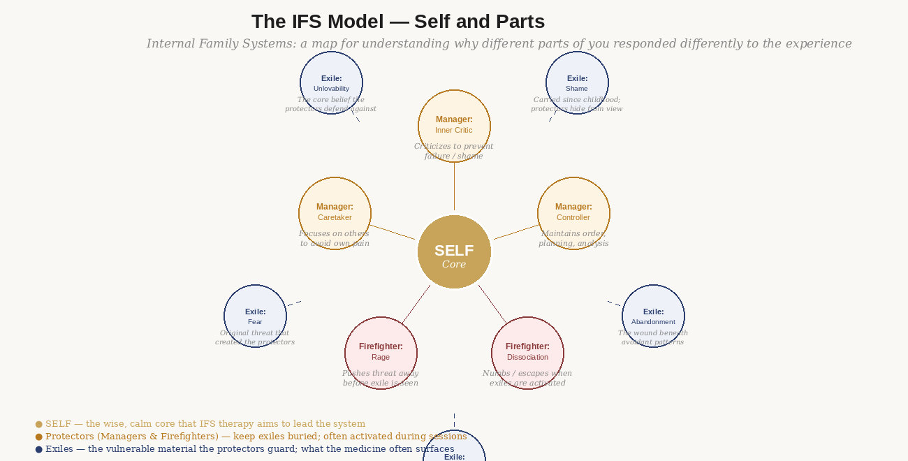 The IFS model
