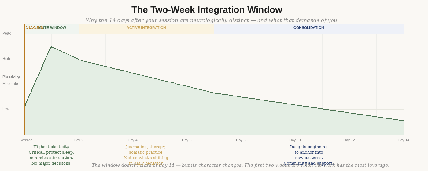 The two-week integration window