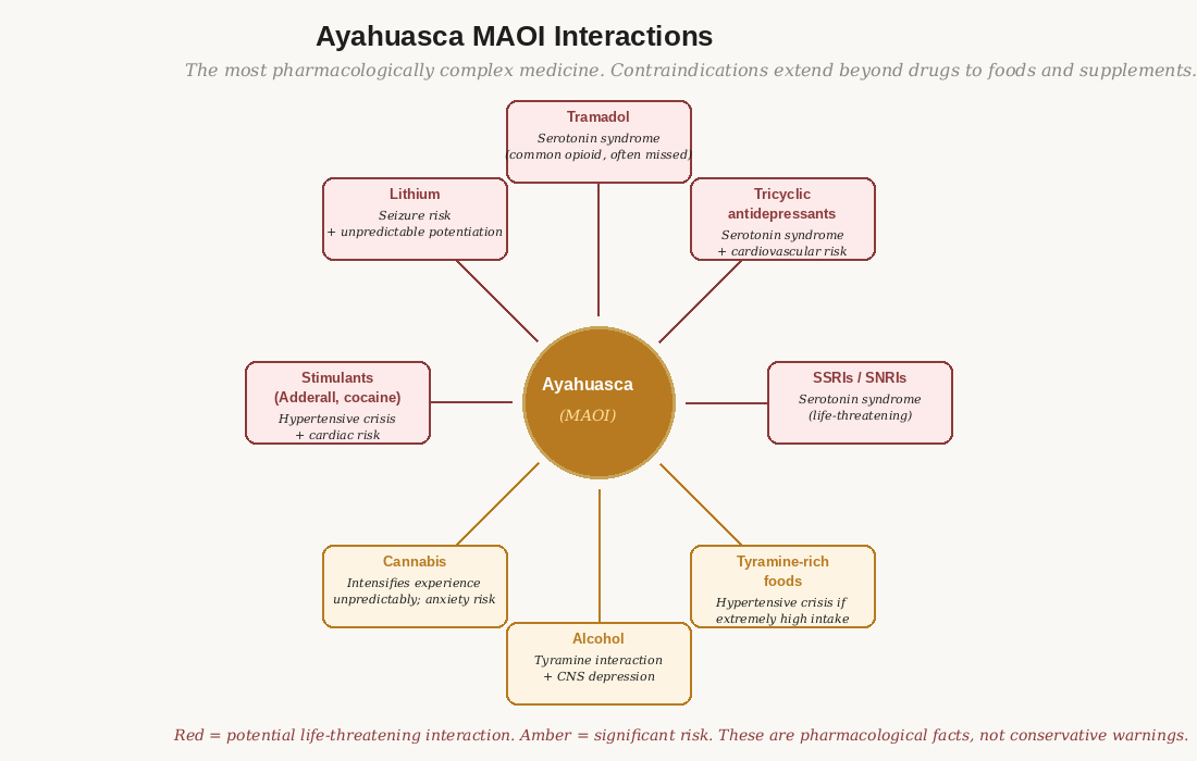 The MAOI interaction web for ayahuasca