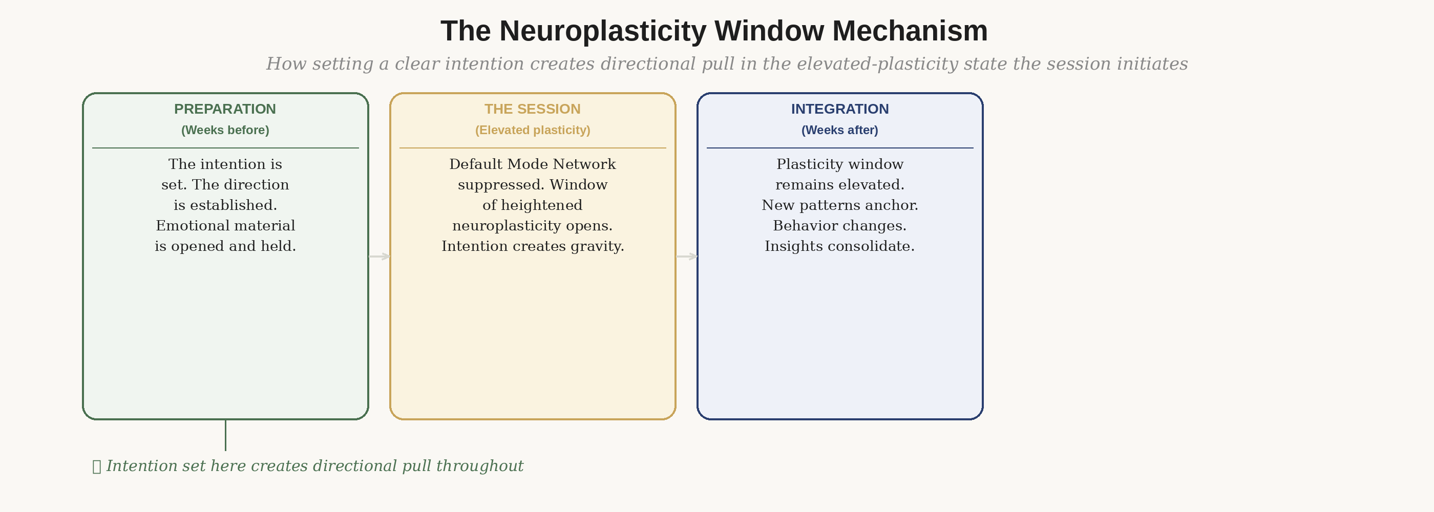 The neuroplasticity window