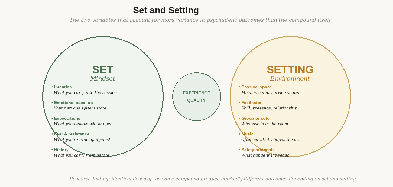 The set and setting model