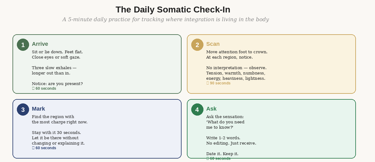 The daily somatic check-in