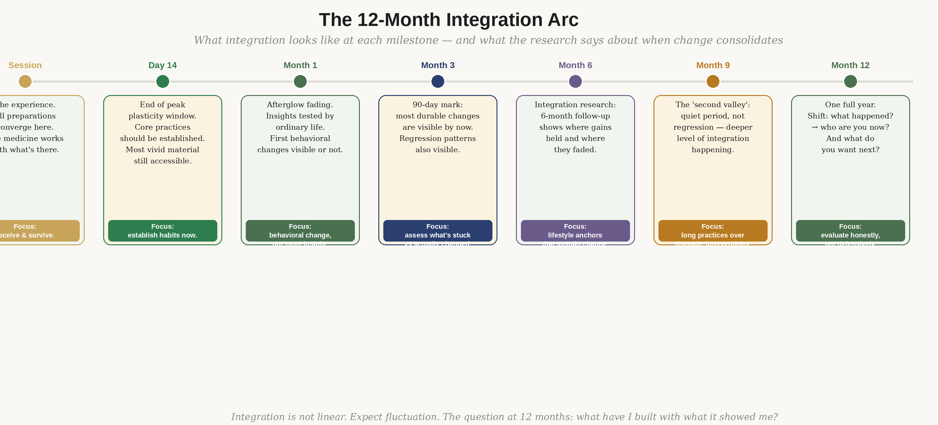 The 12-month integration arc